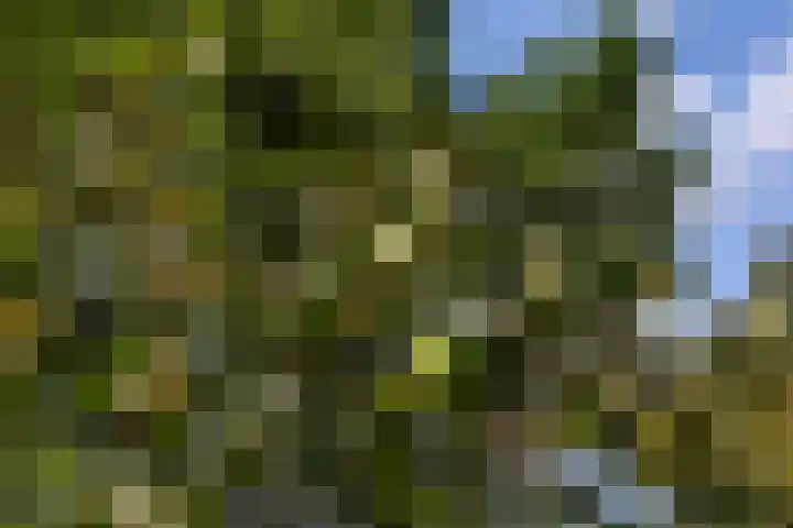 Polveensweg 15 Klarenbeek thumbnail 77