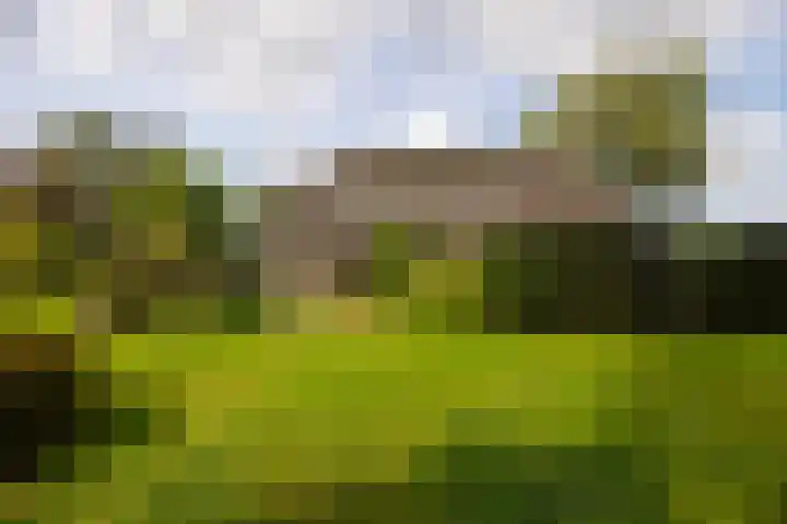 Polveensweg 15 Klarenbeek thumbnail 78