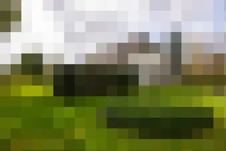 Polveensweg 15 Klarenbeek thumbnail 79
