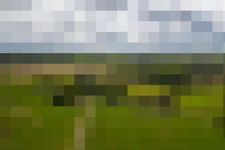 Polveensweg 15 Klarenbeek thumbnail 9
