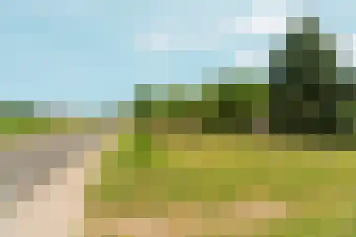 Polveensweg 9 Klarenbeek thumbnail 42