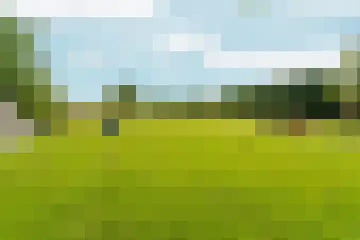 Polveensweg 9 Klarenbeek thumbnail 43