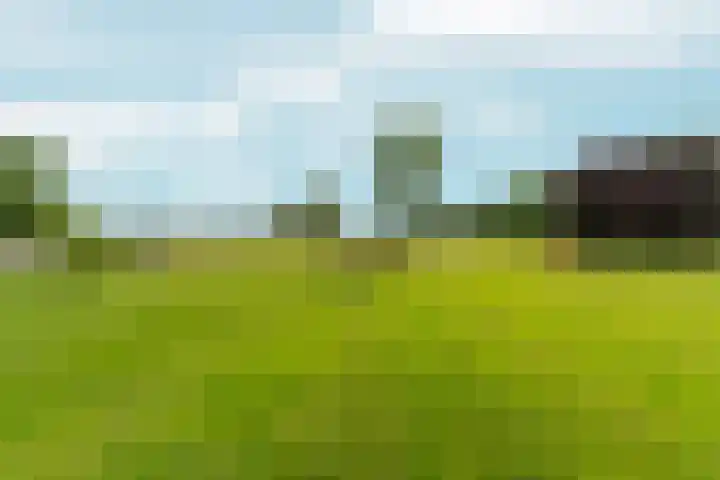 Polveensweg 9 Klarenbeek thumbnail 44