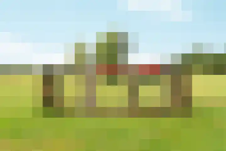 Polveensweg 9 Klarenbeek thumbnail 45