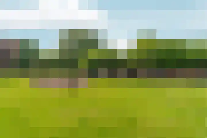 Polveensweg 9 Klarenbeek thumbnail 51