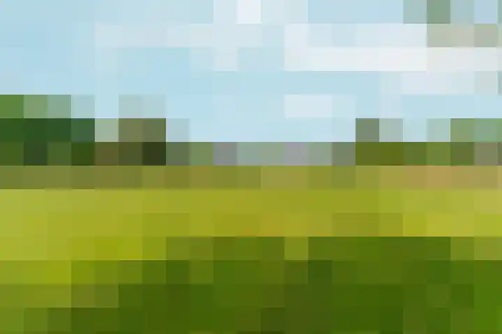 Polveensweg 9 Klarenbeek thumbnail 53