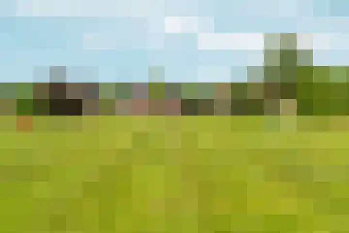 Polveensweg 9 Klarenbeek thumbnail 54