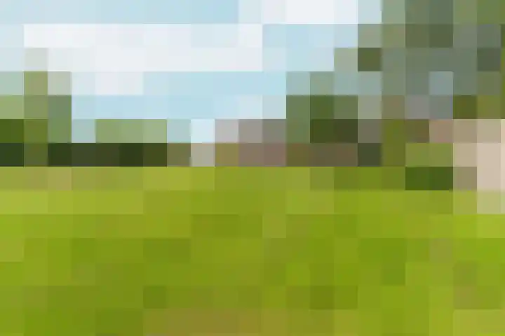 Polveensweg 9 Klarenbeek thumbnail 55