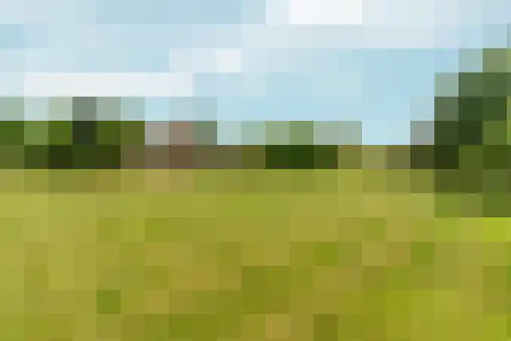 Polveensweg 9 Klarenbeek thumbnail 56