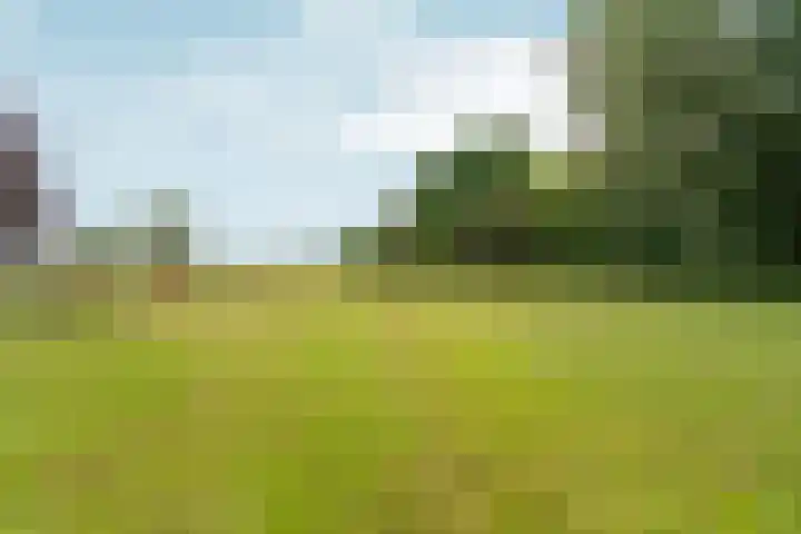 Polveensweg 9 Klarenbeek thumbnail 57