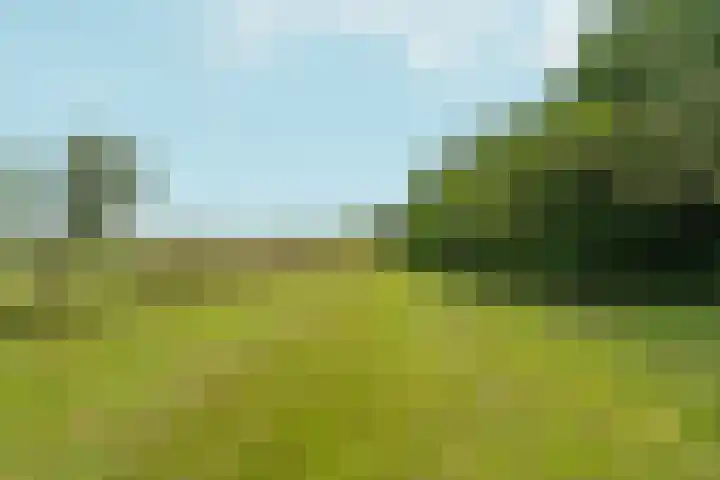 Polveensweg 9 Klarenbeek thumbnail 58