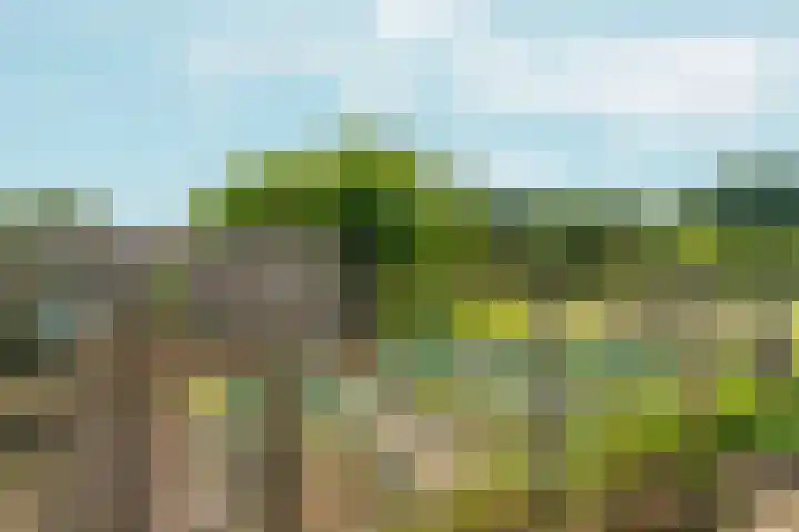 Polveensweg 9 Klarenbeek thumbnail 59