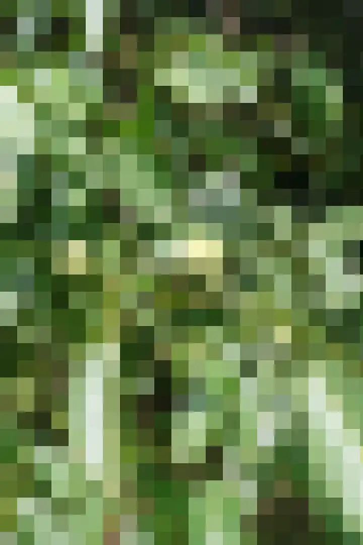 Polveensweg 9 Klarenbeek thumbnail 60