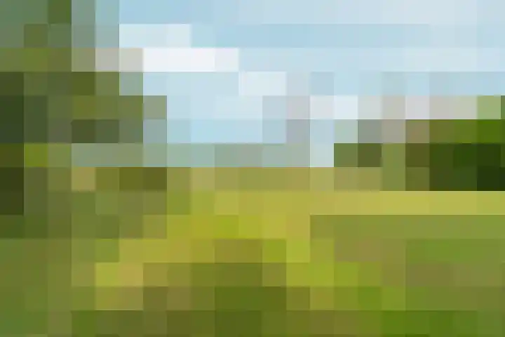 Polveensweg 9 Klarenbeek thumbnail 61