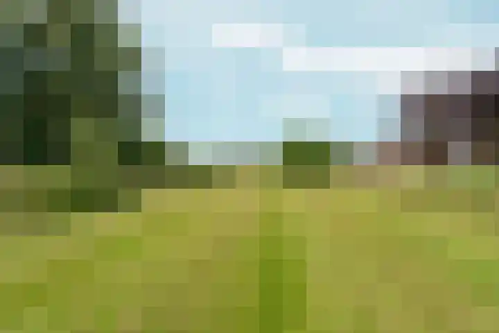 Polveensweg 9 Klarenbeek thumbnail 62