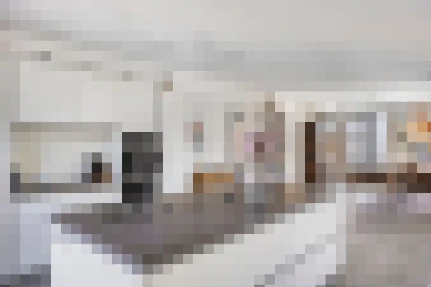 Polvertorenstraat 10 B 01 Maastricht thumbnail 15
