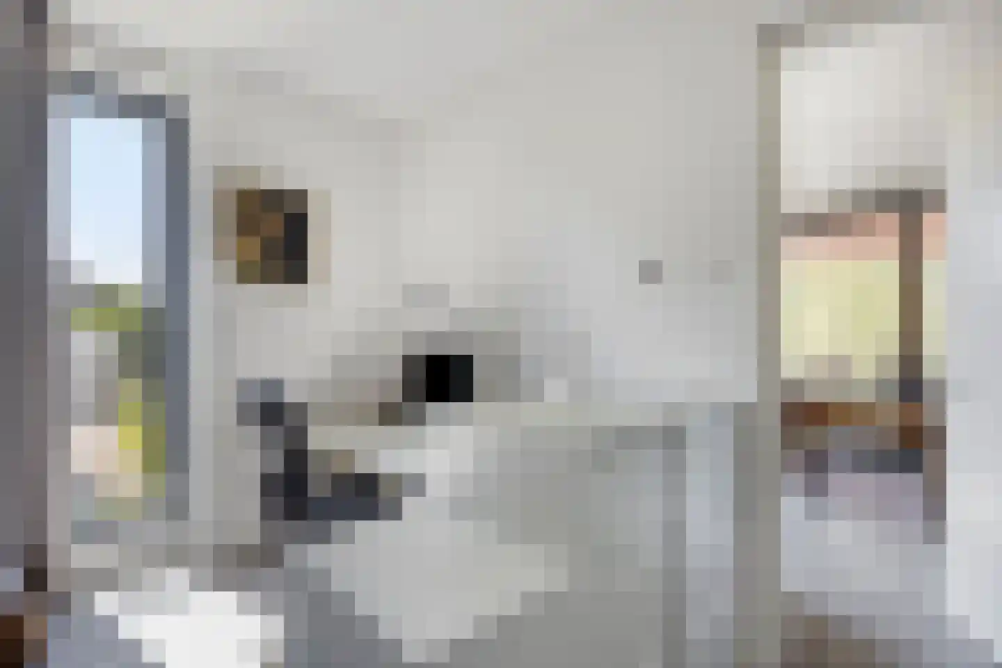 Polvertorenstraat 10 B 01 Maastricht thumbnail 25