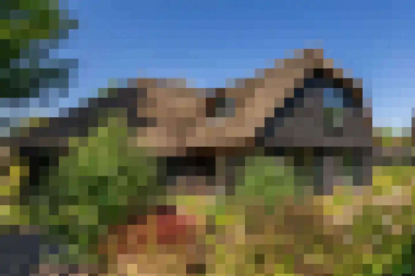 Polweg 1 Blaricum thumbnail 44
