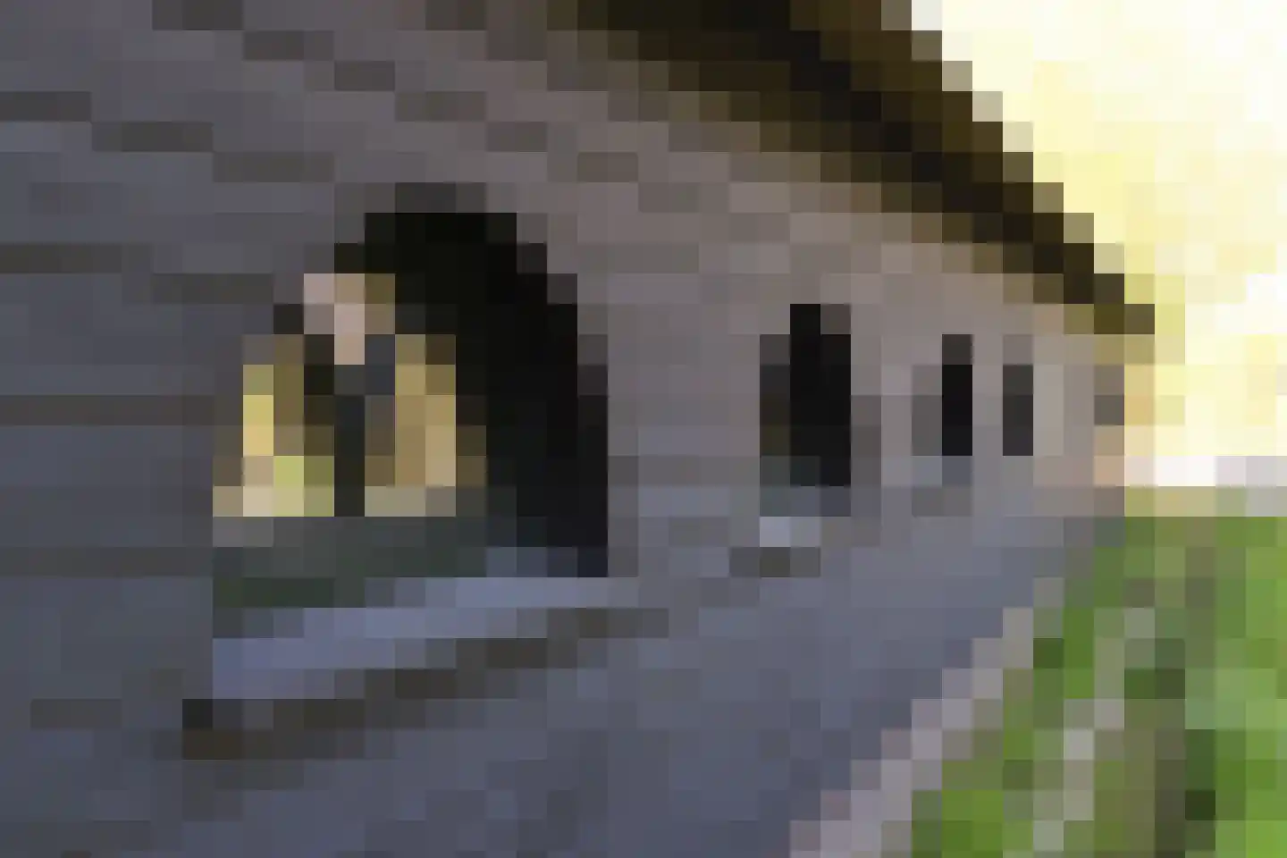 Polweg 1 Blaricum thumbnail 46