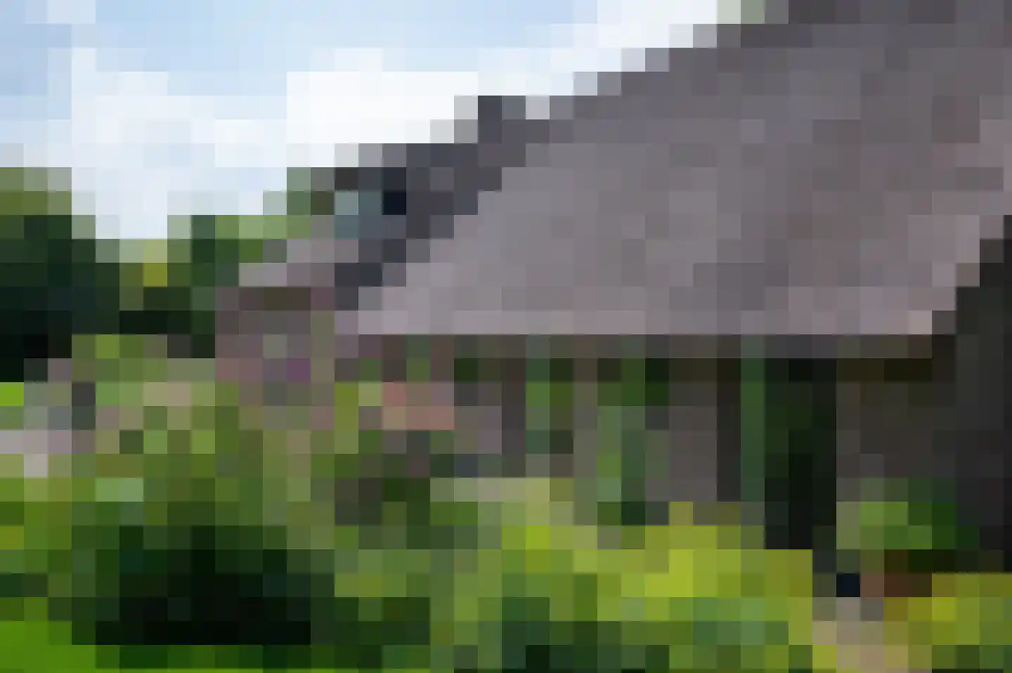Polweg 1 Blaricum thumbnail 5