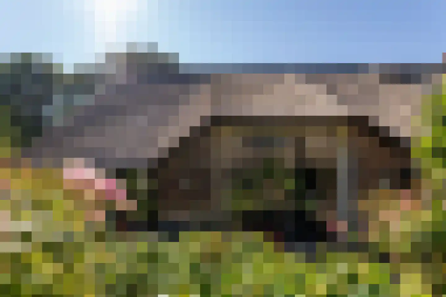 Polweg 1 Blaricum thumbnail 62