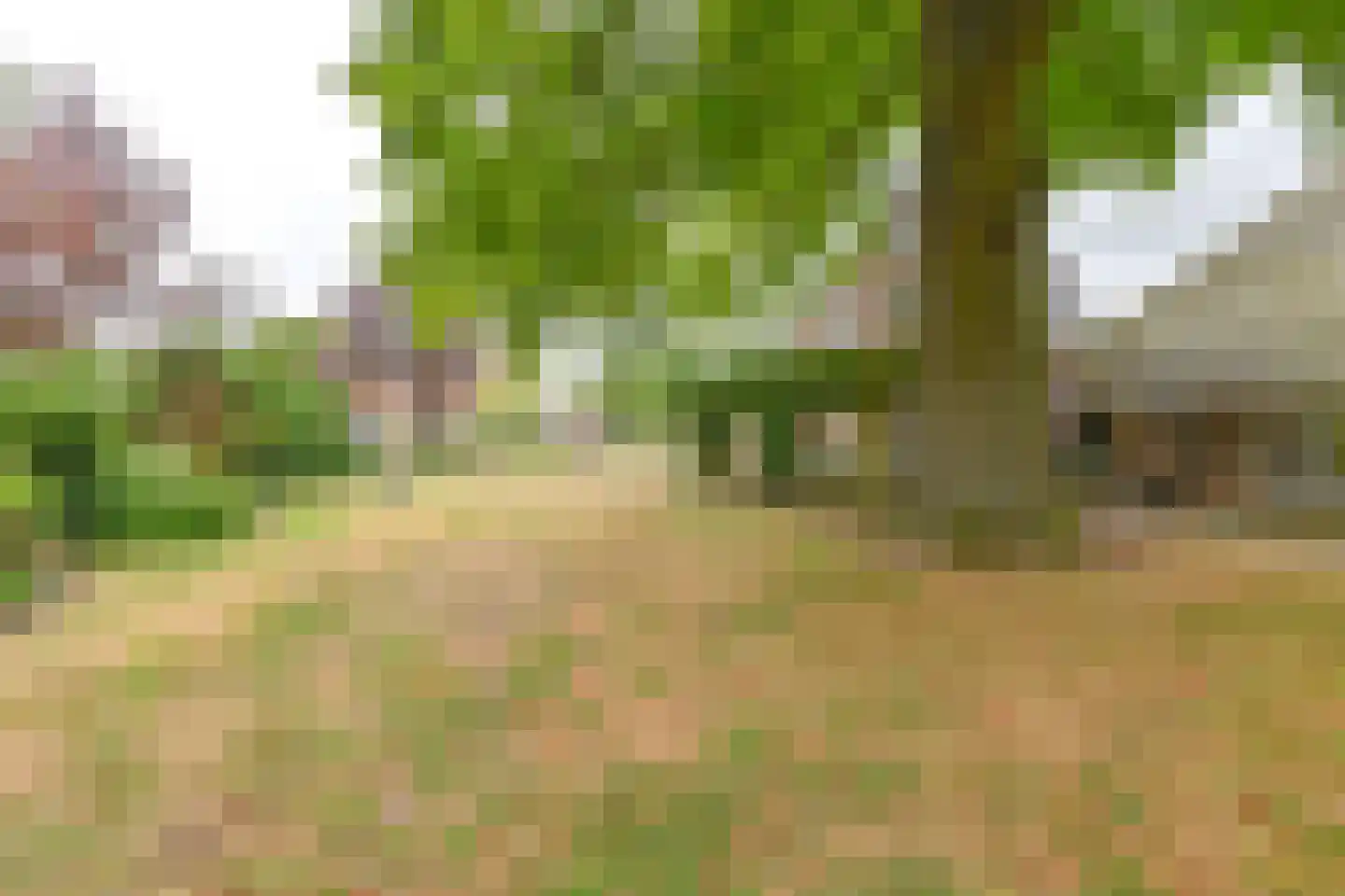 Polweg 1 Exloo thumbnail 10