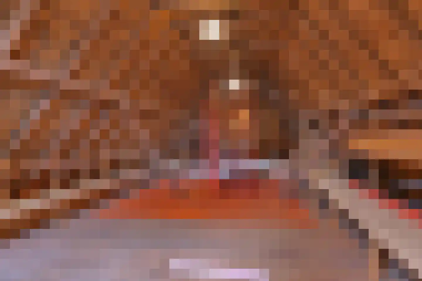 Polweg 1 Exloo thumbnail 106