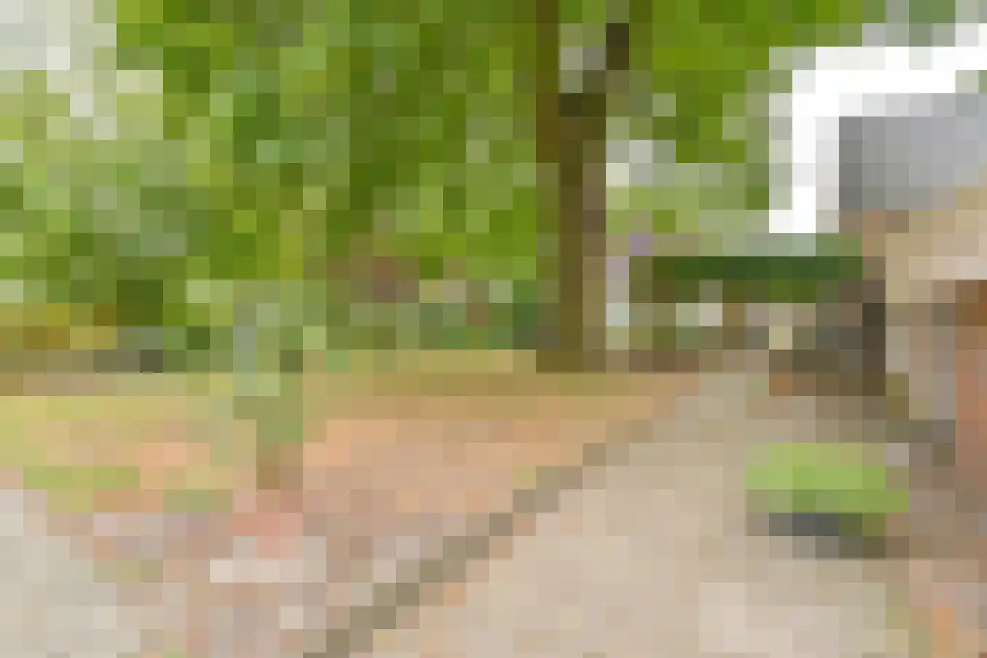 Polweg 1 Exloo thumbnail 11