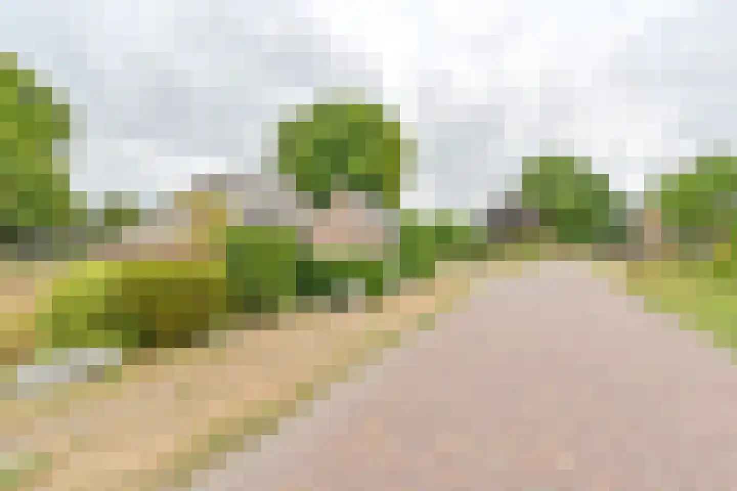 Polweg 1 Exloo thumbnail 113