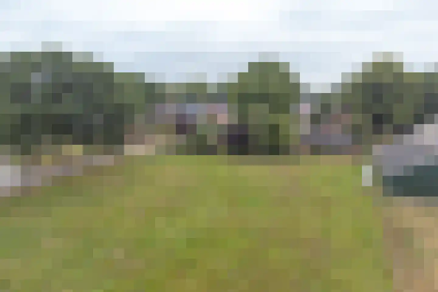 Polweg 1 Exloo thumbnail 114