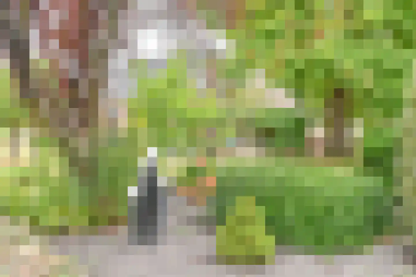 Polweg 1 Exloo thumbnail 16
