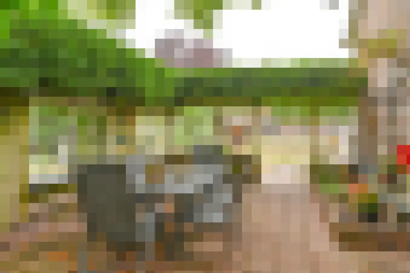 Polweg 1 Exloo thumbnail 21