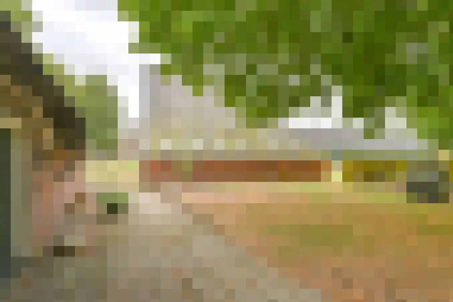 Polweg 1 Exloo thumbnail 26