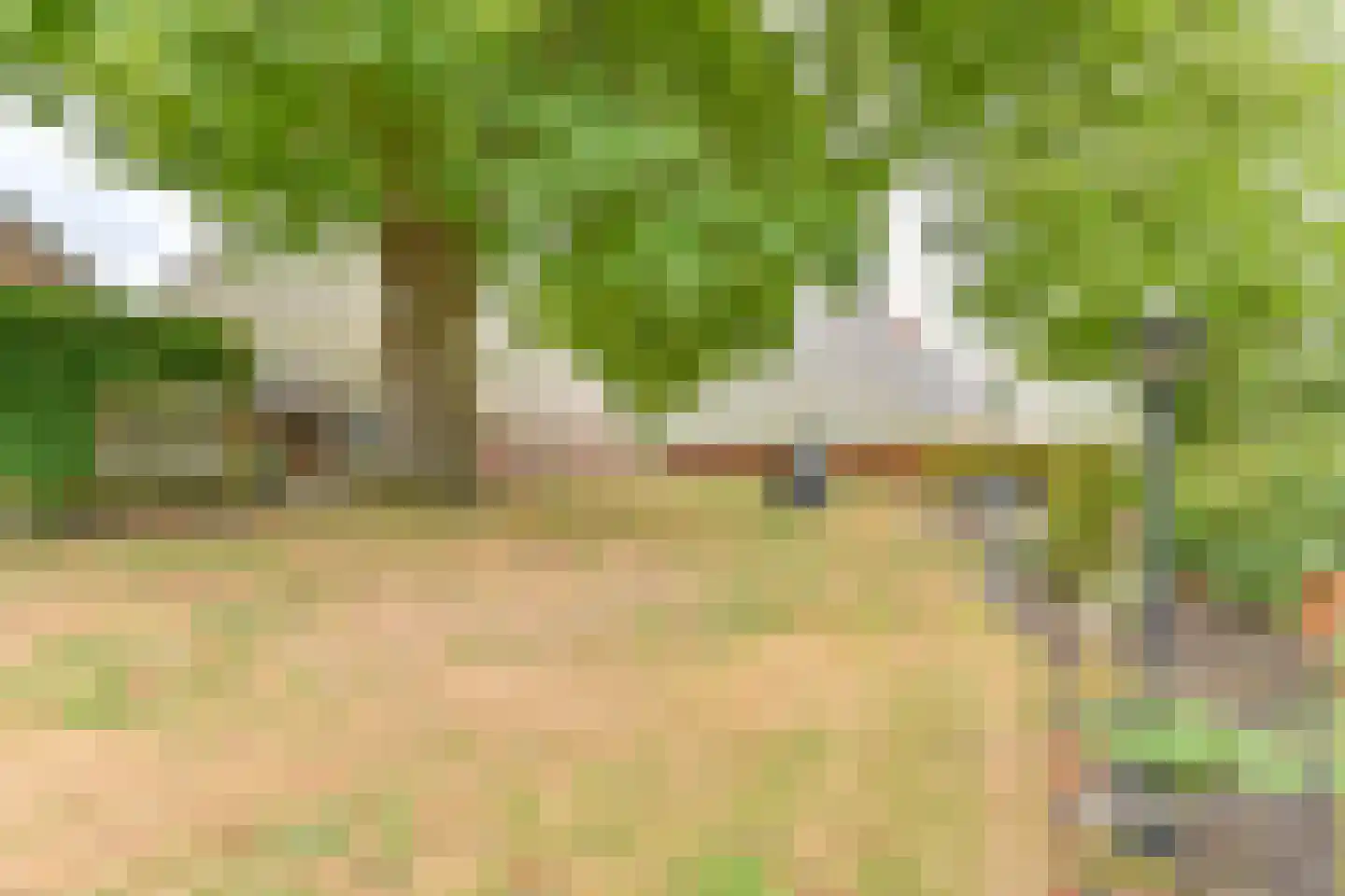 Polweg 1 Exloo thumbnail 28
