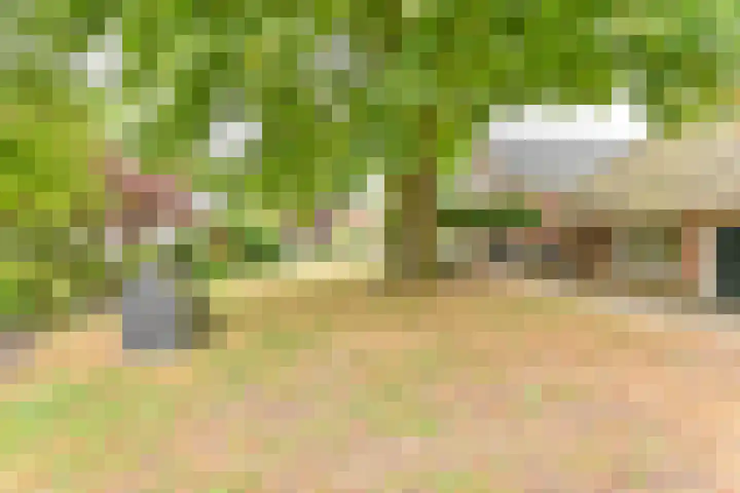 Polweg 1 Exloo thumbnail 29