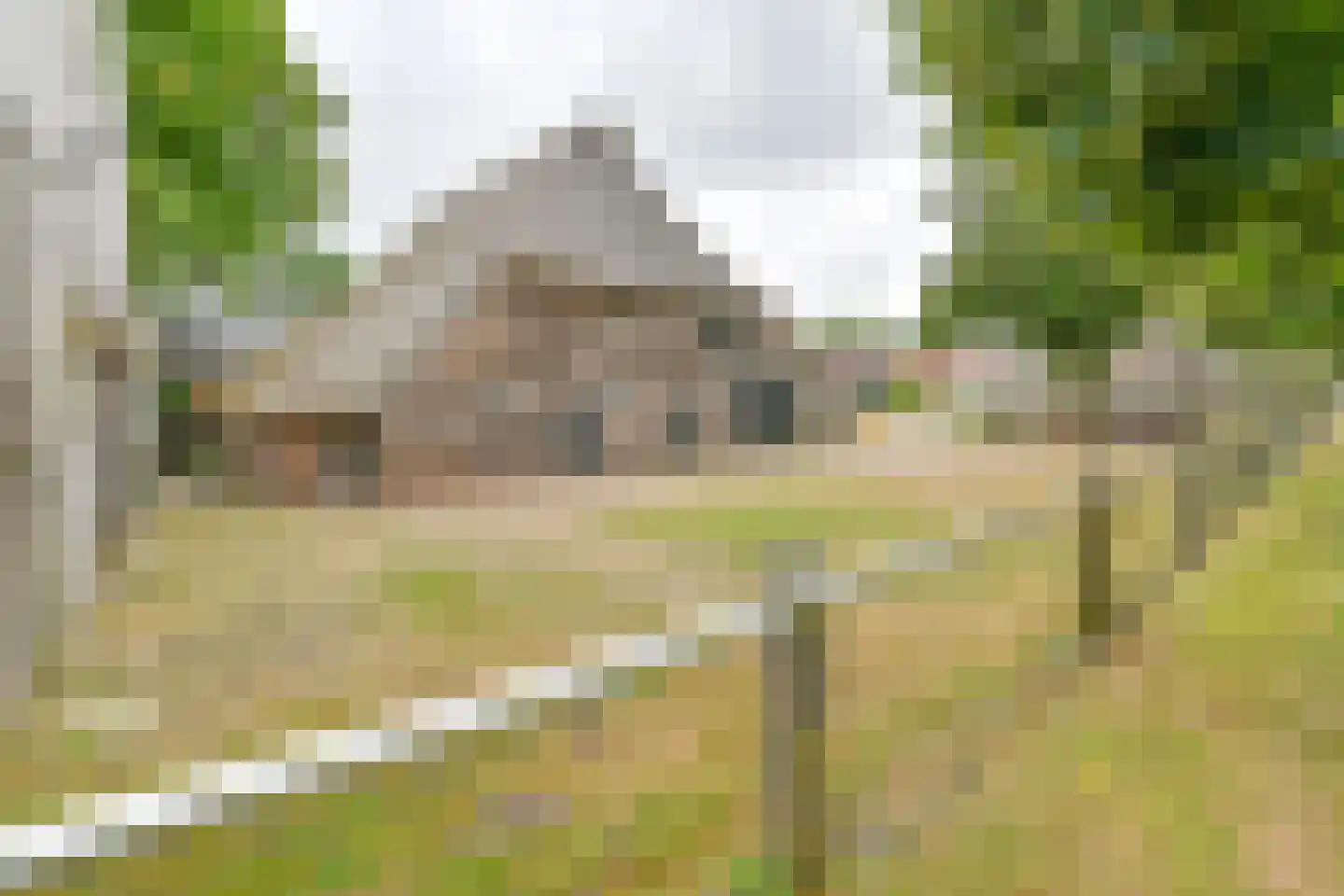 Polweg 1 Exloo thumbnail 30
