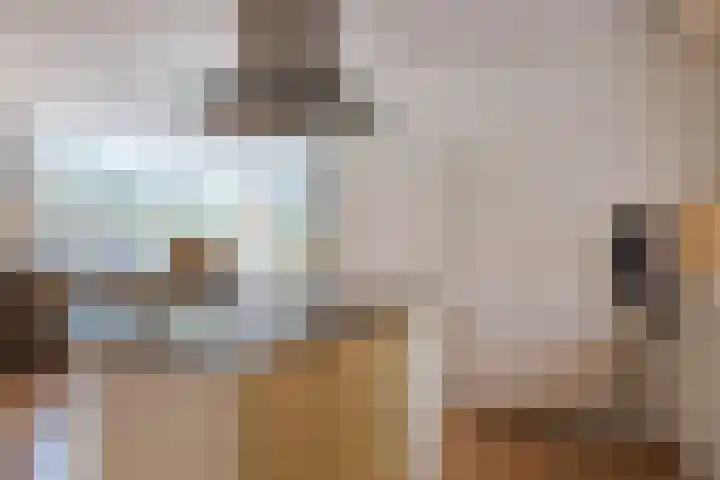 Polweg 20 Exloo thumbnail 14