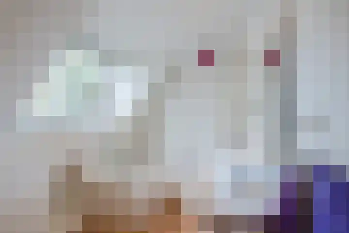 Polweg 20 Exloo thumbnail 23