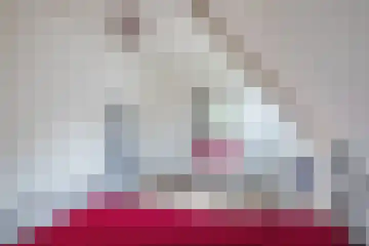 Polweg 20 Exloo thumbnail 27