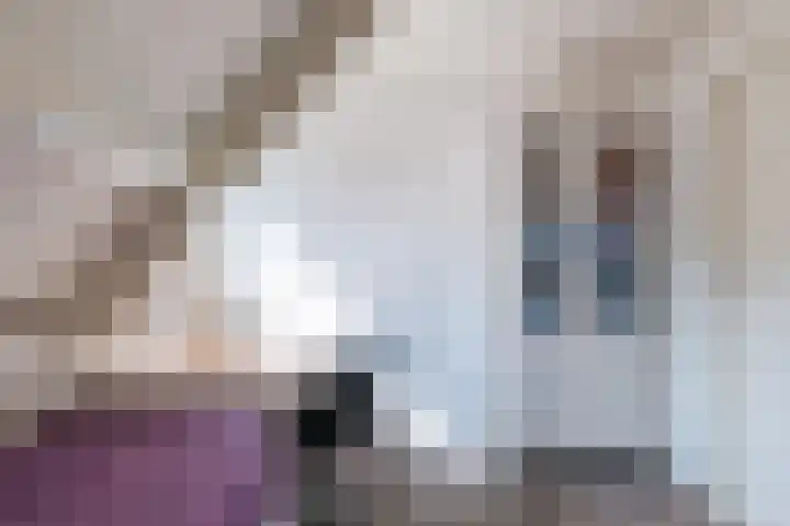 Polweg 20 Exloo thumbnail 29