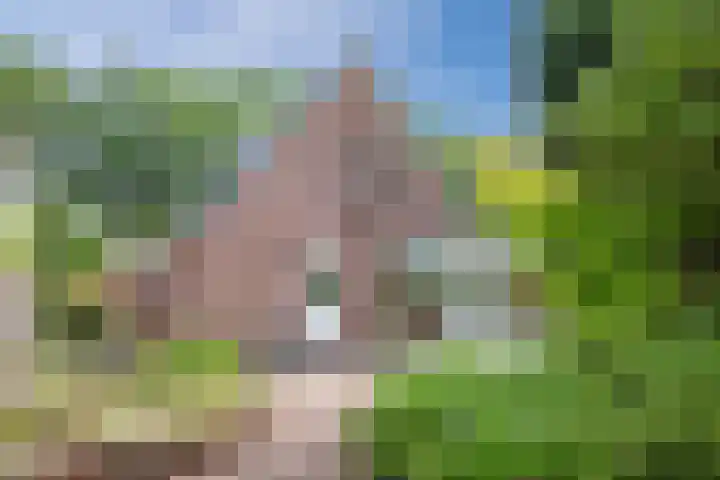 Polweg 20 Exloo thumbnail 30