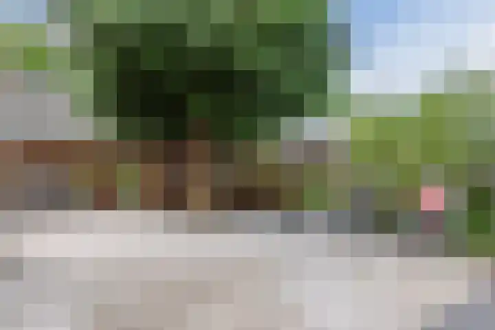 Polweg 20 Exloo thumbnail 32