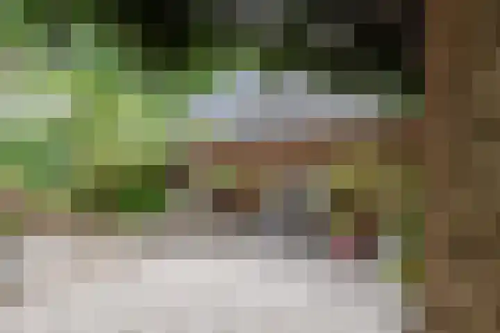Polweg 20 Exloo thumbnail 33