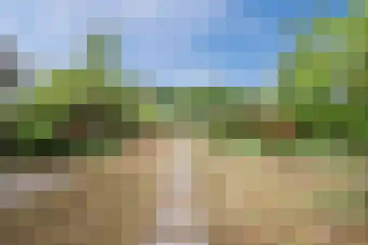 Polweg 20 Exloo thumbnail 34