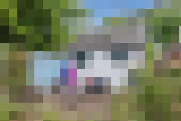 Polweg 20 Exloo thumbnail 36
