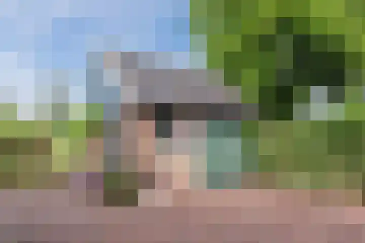 Polweg 20 Exloo thumbnail 37
