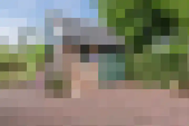 Polweg 20 Exloo thumbnail 38