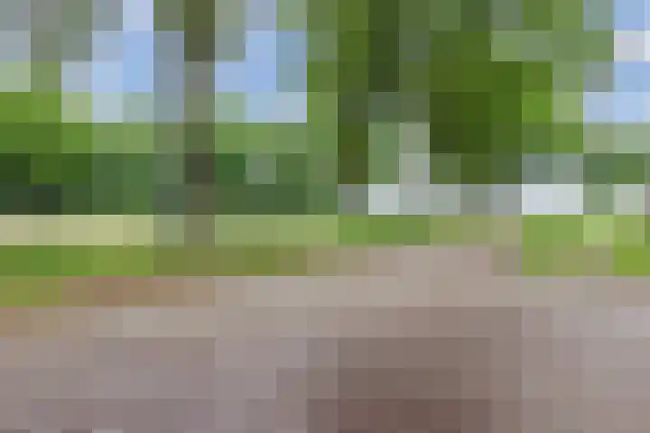 Polweg 20 Exloo thumbnail 39