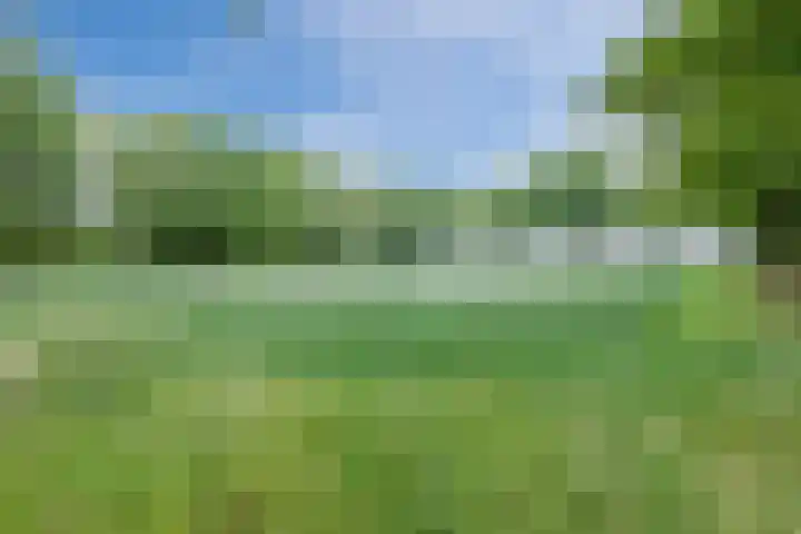 Polweg 20 Exloo thumbnail 40