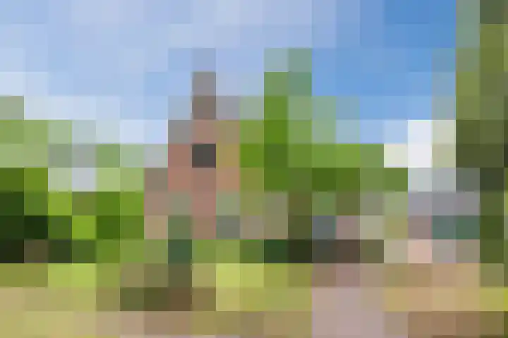 Polweg 20 Exloo thumbnail 46